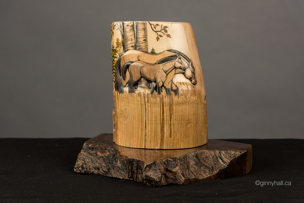 A scrimshaw peice by Ginny Hall depicting two horses.