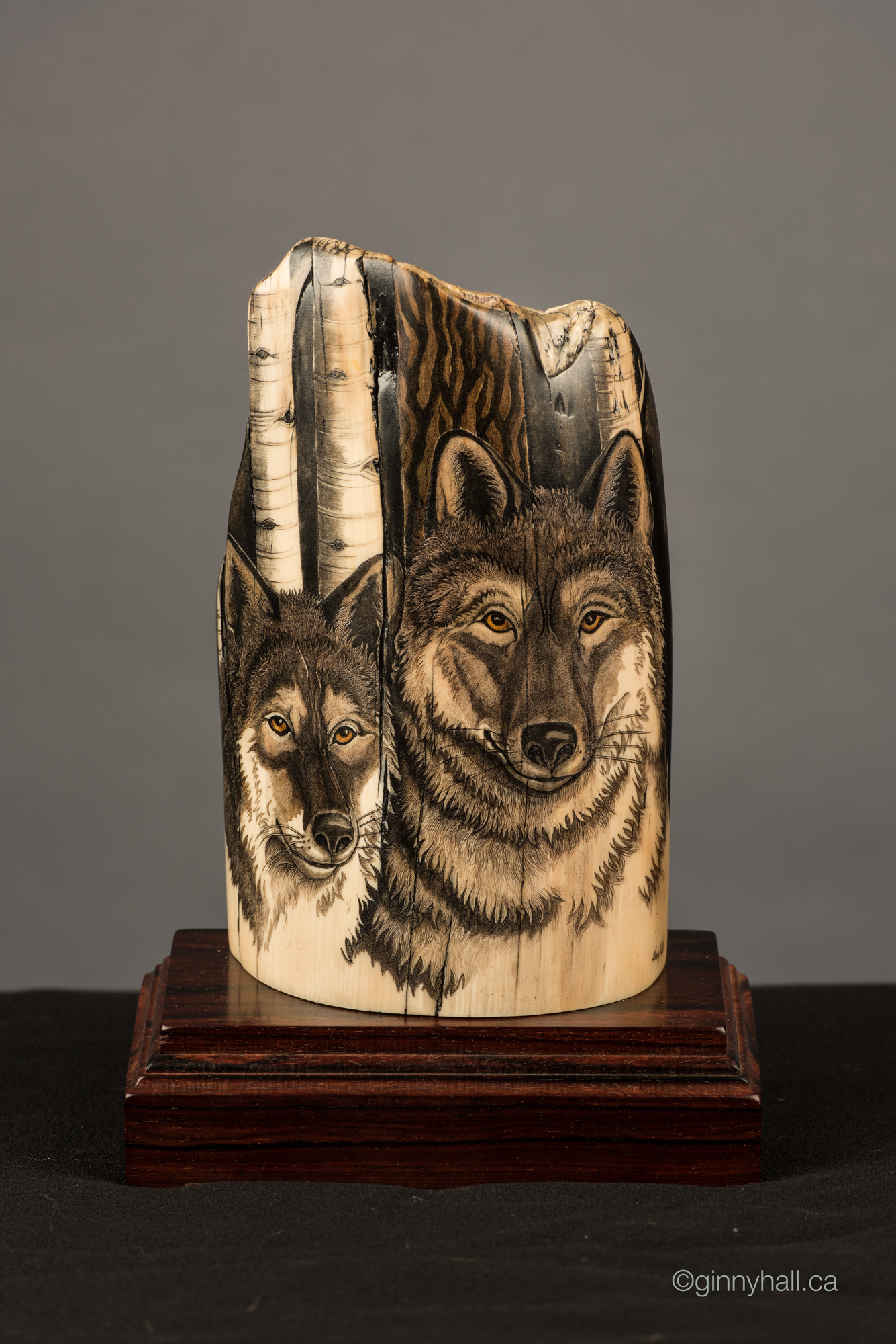 A scrimshaw peice by Ginny Hall depicting two wolf faces.