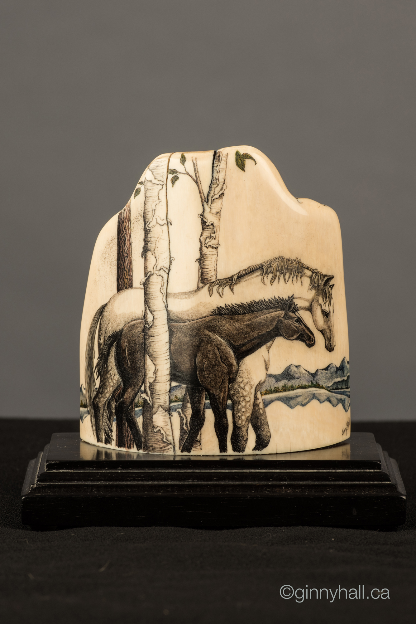 A scrimshaw peice by Ginny Hall depicting horses.