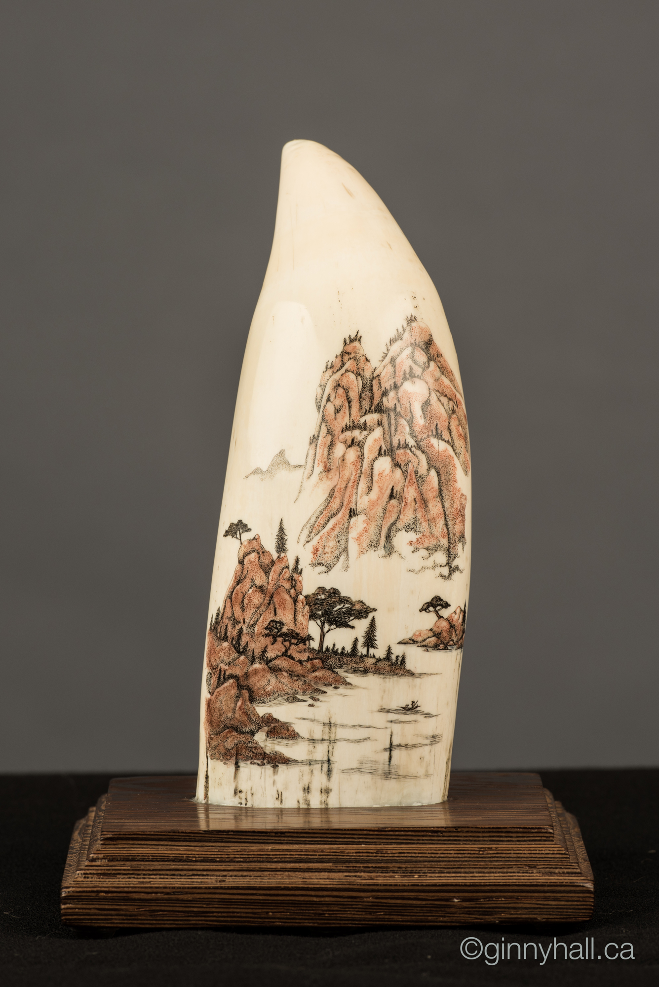 A scrimshaw peice by Ginny Hall depicting a nature scene.